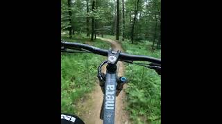FLOWSBACH Hardtail Crash #flowtrailmosbach...
