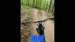 FLOWSBACH Flowtrail Mosbach #shorts #mtb...