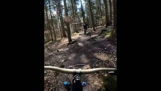 Schwarzwaldtrail with @TrailTales #shorts #mtb...