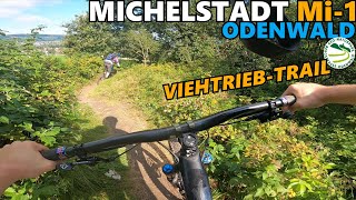 ODENWALD MICHELSTADT Mi-1 Viehtrieb-Trail /...