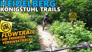HEIDELBERG KÖNIGSTUHL Flowtrail HD Freeride...