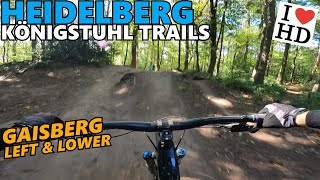 HEIDELBERG KÖNIGSTUHL Gaisberg-Trail Left...