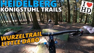 HEIDELBERG KÖNIGSTUHL Wurzeltrail + Little...