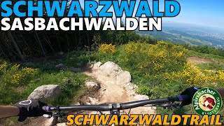 SASBACHWALDEN SCHWARZWALDTRAIL First Ride /...