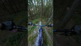 Riding on the edge 