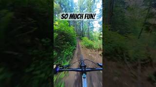 This trail is so fast! #downhillmtb #mountainbike