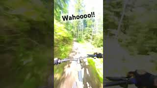 This trail is a dirt rollercoaster!...