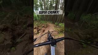 Super chunky section on Predator, Tiger...