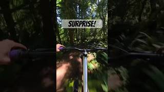 Sometimes you don’t remember the trail features!