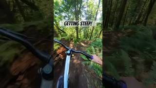 Steep and loose. Dirt was perfect!