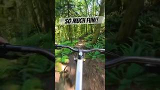 Classic Pacific Northwest mountain biking
