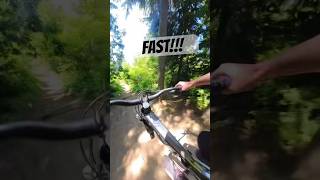 Or at least trying to be fast 