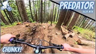 This double black trail got in my head when I...