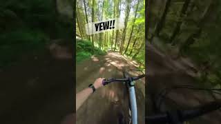 A wee bit of fun on Evolution!