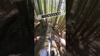 Mountain bike rollercoaster!