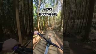Evolution on Galbraith Mountain. Super fun...