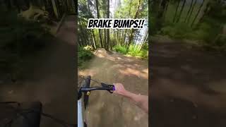 The brake bumps at the end! #downhillmtb #bike...