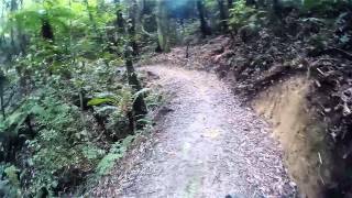 20150504 Te Ara o Mahurangi