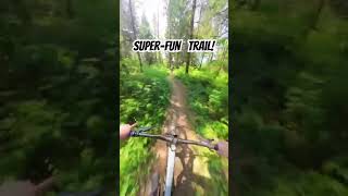 This trail has a bit of everything!...