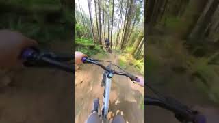 One of my favorite trails on Galbraith...