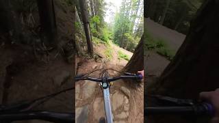 Fun Rock Roll on Tiger Mountain
