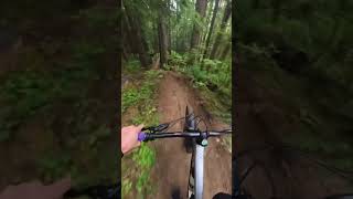 Rowdy Trail #downhillmtb #mountainbiking...