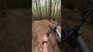 Finally rode this trail #downhillmtb...