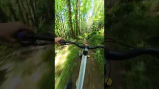 I love this singletrack #downhillmtb...