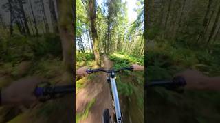 One of my favorite trails #downhillmtb...
