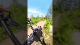 This Bellingham trail is so fun #downhillmtb...