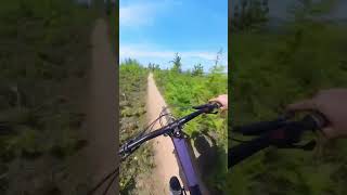 Good times #downhillmtb #mountainbiking...