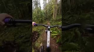 I have to get back on this trail sometime!...