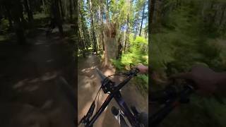 Mountain Biking is Fun #downhillmtb...
