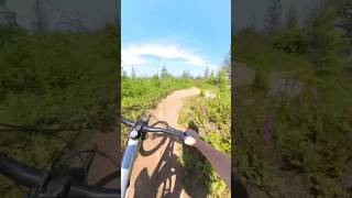 This is a fast section #downhillmtb...