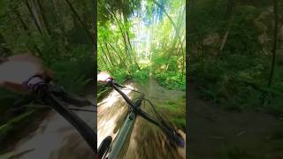 Dry and Dusty #downhillmtb #mountainbiking...