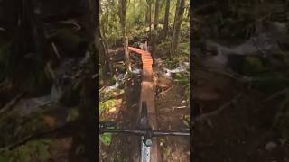 My favorite log ride! #downhillmtb...