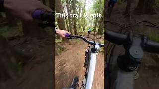 This trail was so much fun! #downhillmtb...
