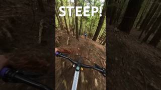 This trail starts out SPICY #downhillmtb #mtb...