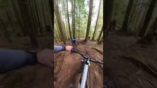 I really love this section of trail!...
