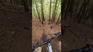 This trail is STEEP #downhillmtb #mountainbike...
