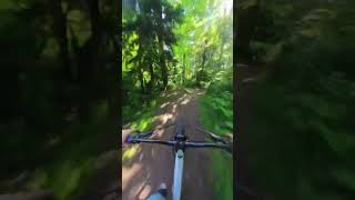 Reminiscing about playing Dave Mirra’s...