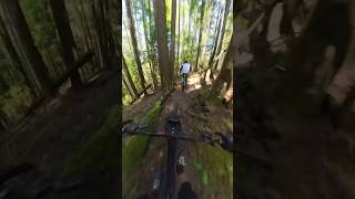 Cougar Ridge Follow Cam #downhillmtb...