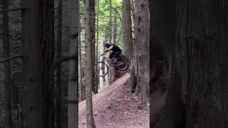 Between two trees #downhillmtb #mountainbiking...