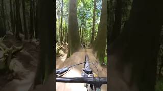 Follow cam between the trees jump!...