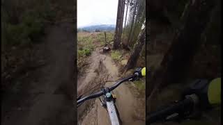 One of my favorite trails! #downhillmtb...