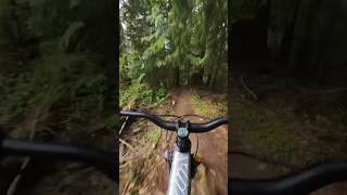 Good dirt, Good times. #downhillmtb #mtbiking...