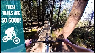 Mountain Biking in Bellingham! New entrance on...