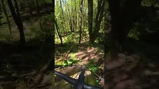 Fun Little Rock Roll #downhillmtb #mtbiking...