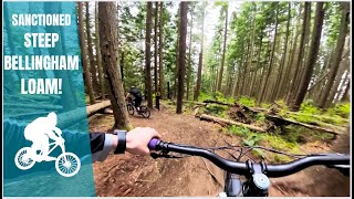 Brown Pow: Steep, Loamy, Sanctioned,...