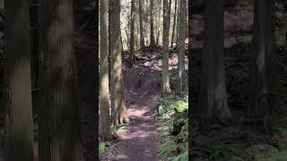Dropping into Double Down #downhillmtb...